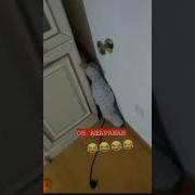Тебя Зажало Походу