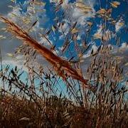 Oceanfront Squirrel Noise Cloud Nine 3D White Noise Sounds