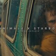 Strangers X After Hours 8D Audio Tiktok Remix От Tommymuzzic Phazzed