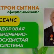 Стойкое Сердце Сытин