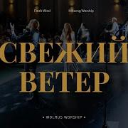 Свежий Ветер Миля Шаламова