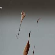 Marc Depulse Rockstah Original Mix