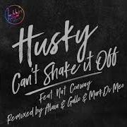 Husky Can T Shake It Off Feat Nat Conway