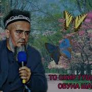 Амри Маъруф Зани Афгон