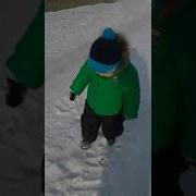 Тәй Тәй Басқан Балапаным
