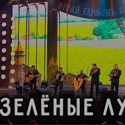 Ой Зеленые Луга