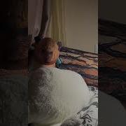 Кнайф Снюсоед