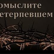 Проповедь Мсц Ехб