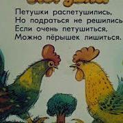 Петушки Распетушились