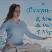 Фалунь Дафа Лекции