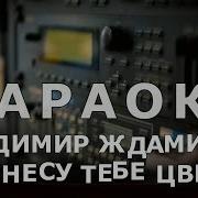 А Я Несу Тебе Цветы Минус