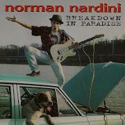 Norman Nardini Up Jumps The Devil