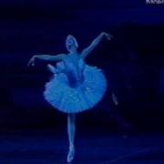 Anastasia Volochkova Swan Lake