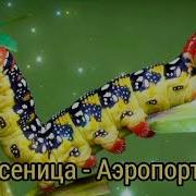 Гусеница Аэропорты Шоу Маска 4 Сезон