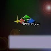 Каз Канаты Ансамбле
