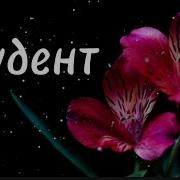 Roma Ricci Студент Ласковый Май Стайл Cover