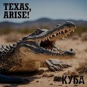 Вставай Техас Arise Texas Кавер На Вставай Донбасс
