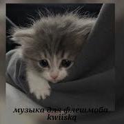 Музыка Для Флешмоба 2025