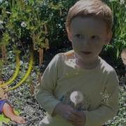 Солнечная Полечка