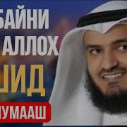 Нашид Тарчума Бо Забони Точики