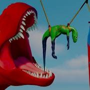 T Rex Rexpect