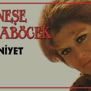 Neşe Karaböcek Boş Vermişim