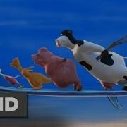 Barnyard Hill Surfing