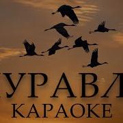 Домик Над Речкою Крик Журавлей Ветер Весенний Танцующий В Поле Минус