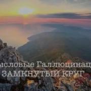 Замкнутый Круг Смысловые Галлюцинации