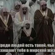 Сура 2 Аль Бакара Аят 204 225 Шейх Махир Аль Му Айкли