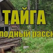 Тайга 2Читает Коляныч