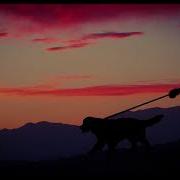 Halsey Control Jay Aliyev Remix Video 4K