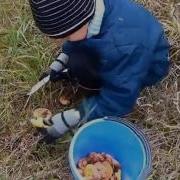 Люблю Я Пышное Природы Увяданье