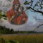 Хвали Душе Моя Госпожа Хор