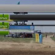 Asyl Arna Асыл Арна Бәйге Жылқы Ат