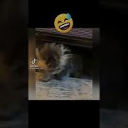 Наркоман Павлик Я Жрать Хочу