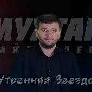 Мухтар Хайбулаев