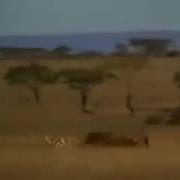 Трек Из Сталкера Внимание Отрядам Гражданской Обороны