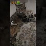 Ну Че Ты До Копалась Со Своими Сьемками