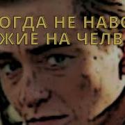 Фразы Из Фильма Бригада