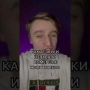 Все Виды Криков Мемы