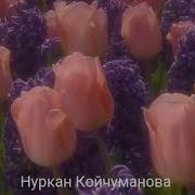 Ыр Саптар Жан Дуйнонун Азыгы