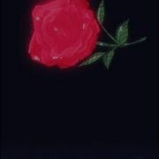 Go Down Prettyheartbreak
