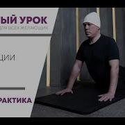 Шароеда Не Боюсь