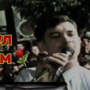 Гулбазм Барои Точико