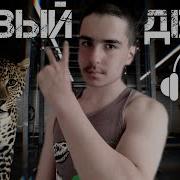 Новый День Timur To