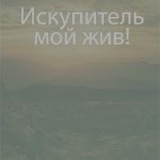 Мхо Мсц Ехб После Долгой Зимы