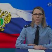 Тут Запрещено Выгуливать Собак