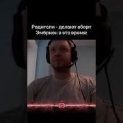 Разрабы Папич