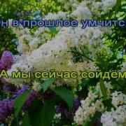 Белая Сирень Столица Минус